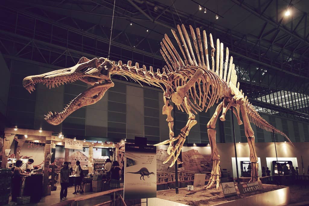 Dinosaurio Mamenchisaurus