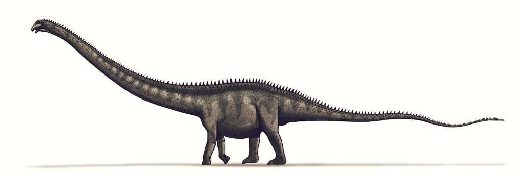 Dinosaurio Supersaurus