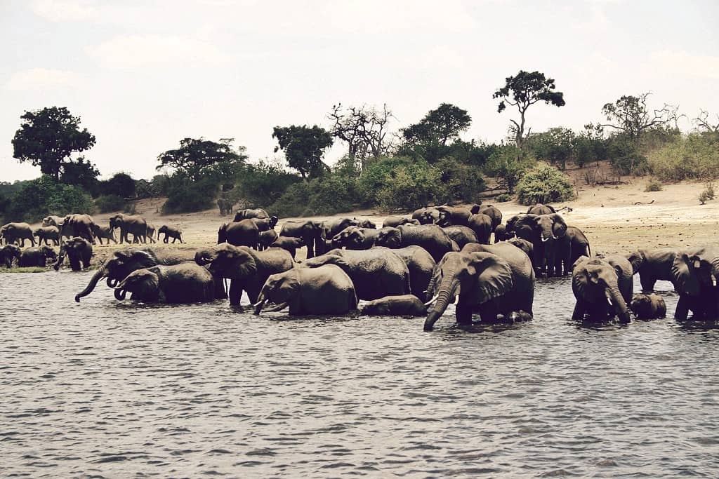Parque nacional Kavango-Zambeze