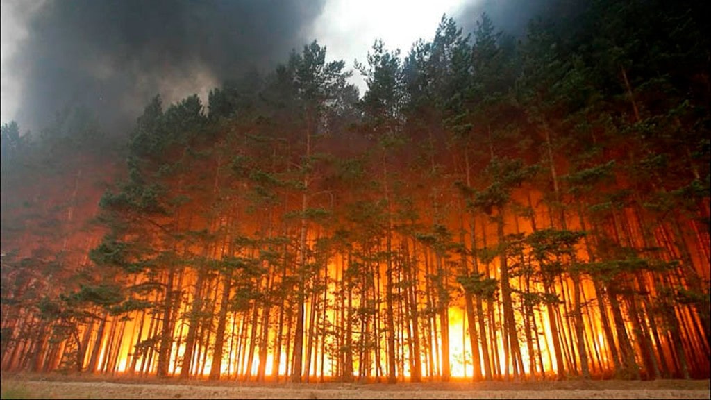 Incendio forestal de Siberia de 2003, uno de los más grandes del mundo